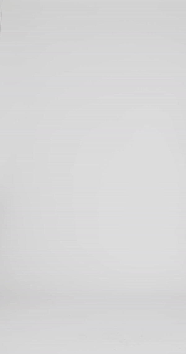 Trip-Zip White Silver Coated Denim Pants Unisex